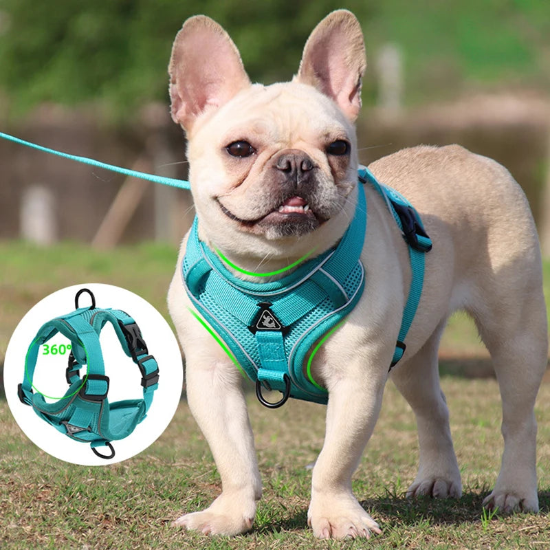 Adjustable Dog Harness