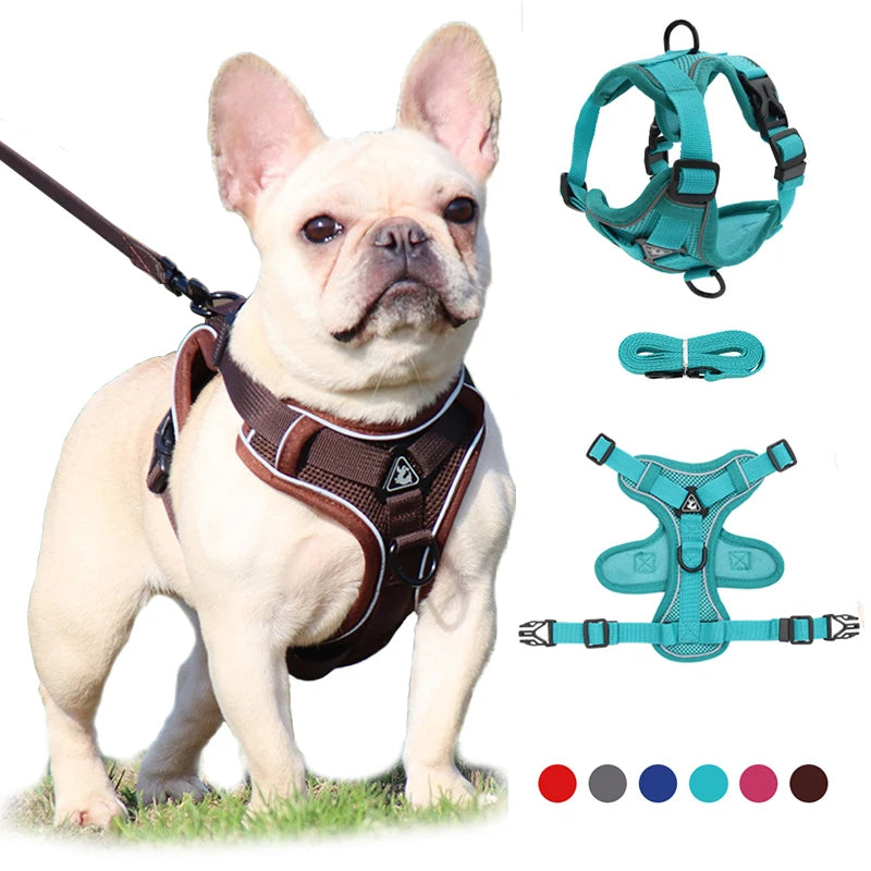 Adjustable Dog Harness