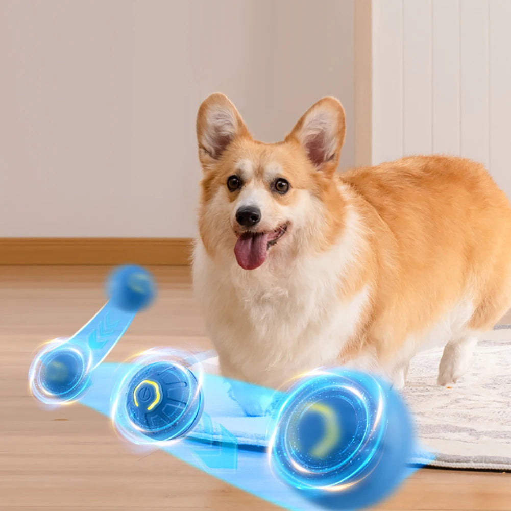 Automatic Rolling Dog Ball