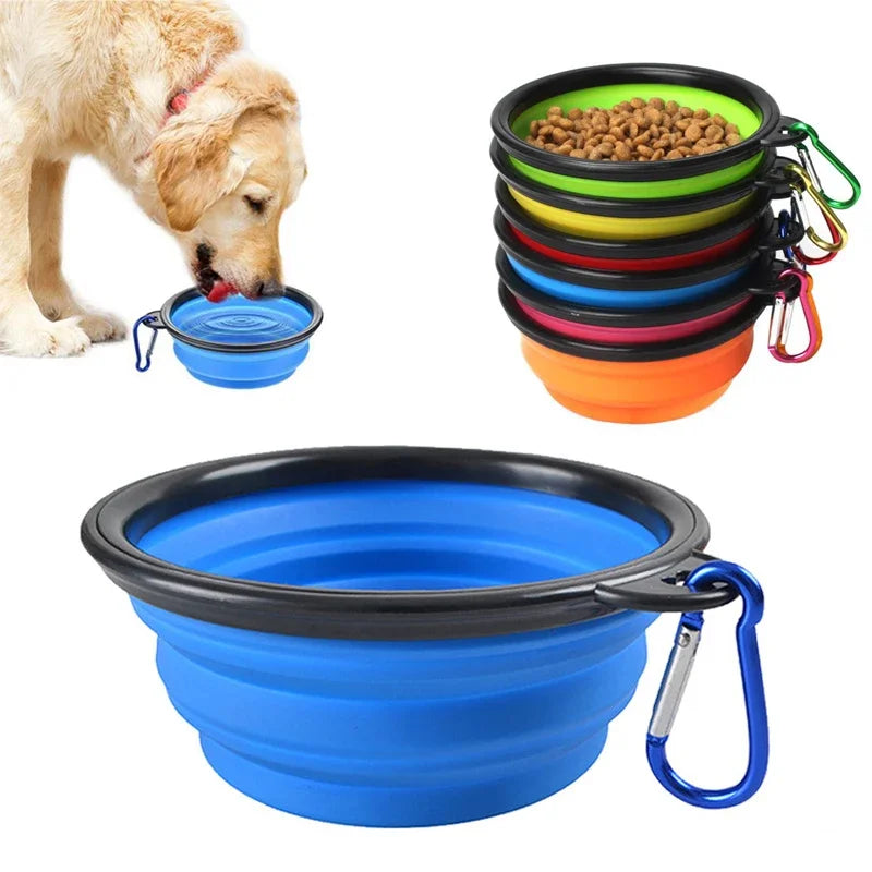 Folding Dog Feeding