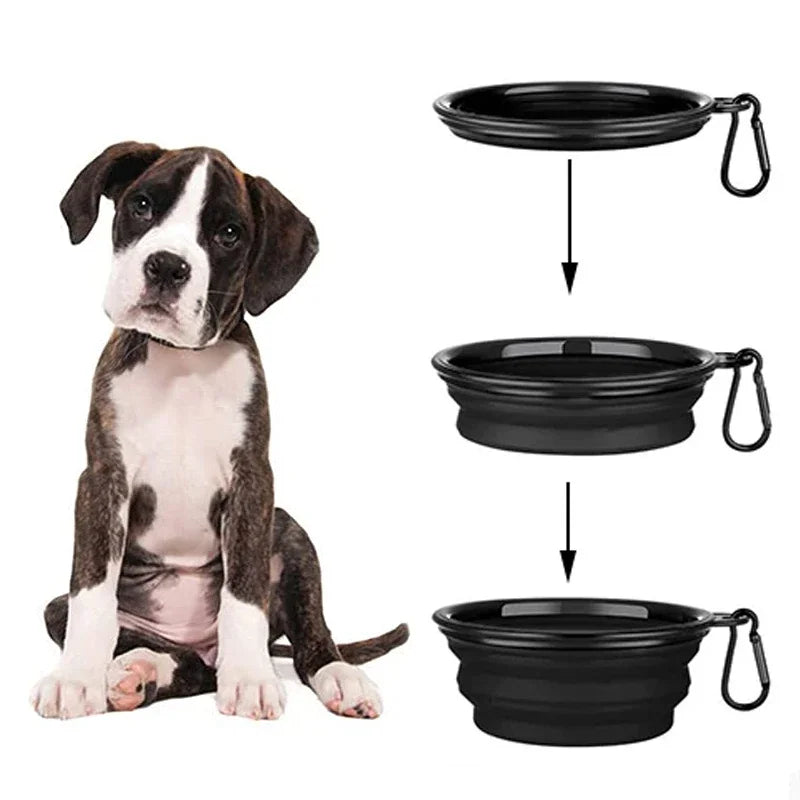 Folding Dog Feeding