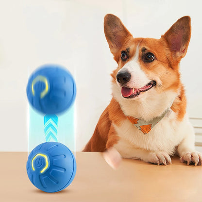 Automatic Rolling Dog Ball