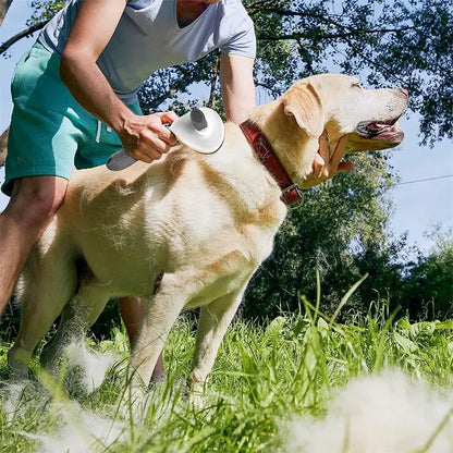 Dog Cleaning Brush