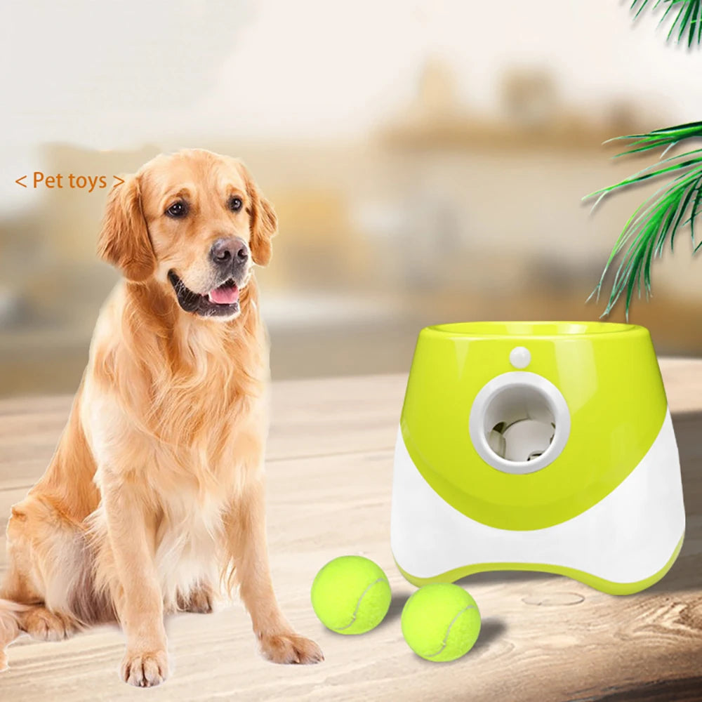 Automatic Tennis Launcher Dog Toy